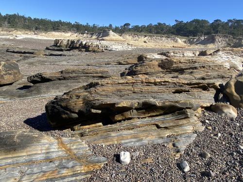 Photo of rock layers that comprise the Carmelo Formation at Weston Beach at Point Lobos.