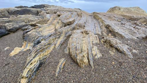 Photo of the Carmelo Foundation along the South Shore trail at Point Lobos.