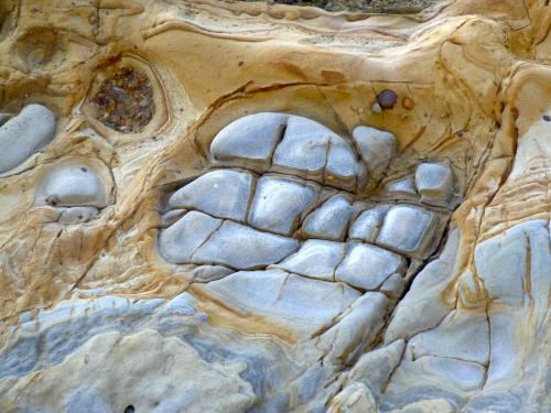 Concretions seen along the South Shore in Point Lobos.